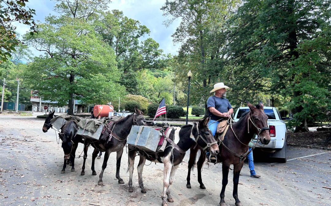 Update from Mountain Mule Packer Ranch