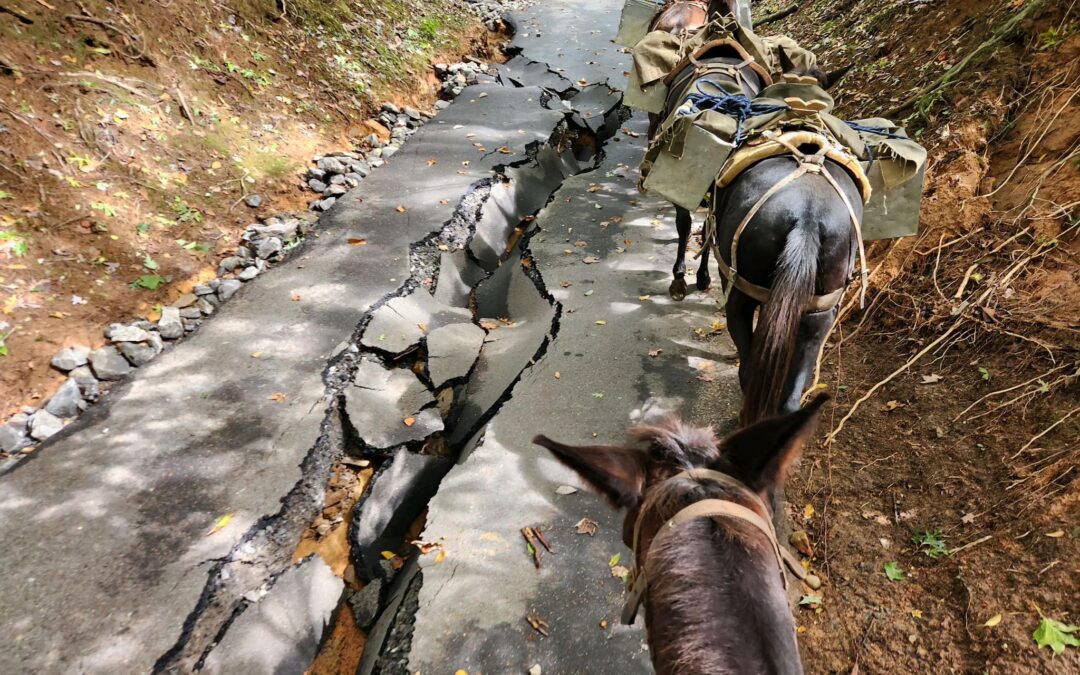 Mountain Mule Packer Ranch helping Helene Victims